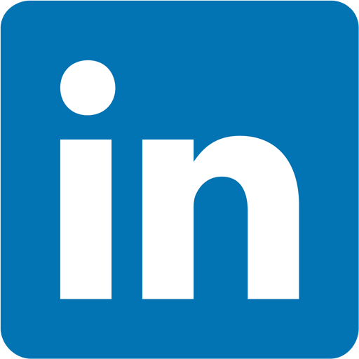 Segui su LinkedIn